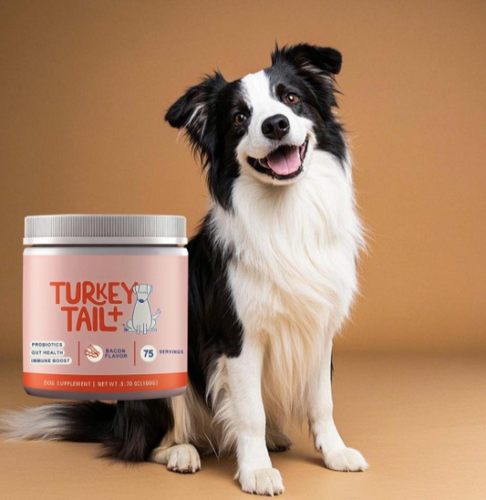 Turkey Tail Gut & Immune Support