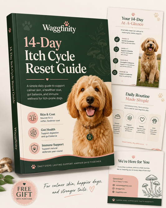 14-Day Itch Cycle Reset Ebook